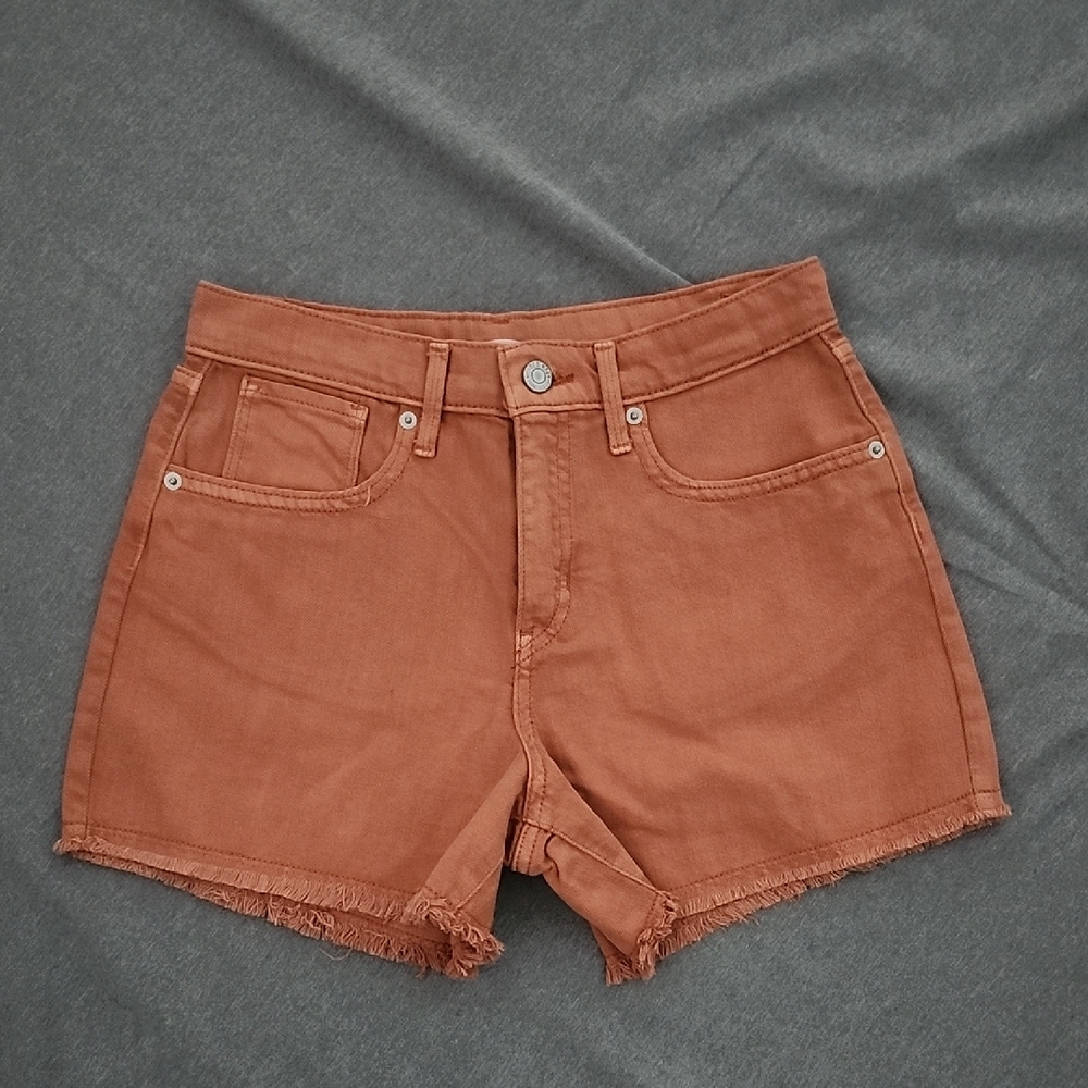 Kids Old Navy rust orange denim shorts
